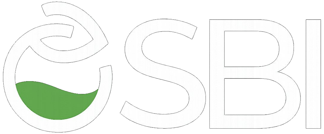 CSBI